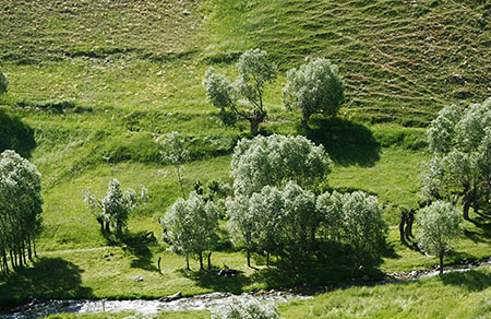 تصاویر روستای لیقوان,روستای لیقوان کجاست