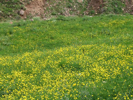 دره لیقوان,تصاویر دره لیقوان