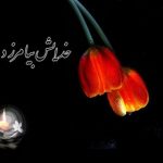 پیام های تسلیت فوت پدر