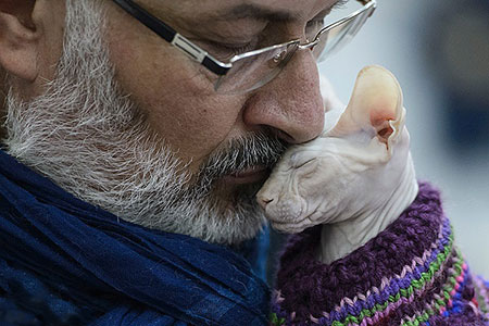 عکسهای جالب,تصاویر دیدنی