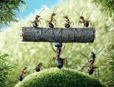 نکات زیبا برای زندگی زیبا,جملات زندگی زیبا