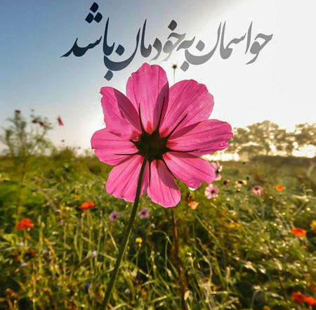 جملات الهام بخش , جملکس های آموزنده 