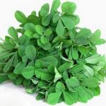 خواص باورنکردنی شنبلیله برای درمان خارش پوست سر