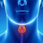 تیروئید سالمتر با این توصیهها…
