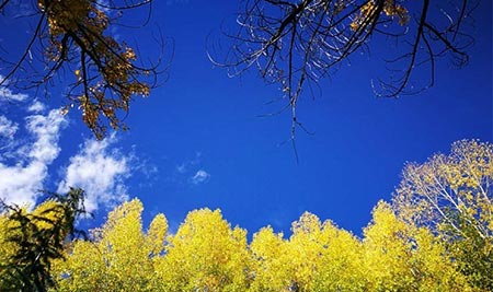 جاهای دیدنی چین,مکانهای تفریحی چین