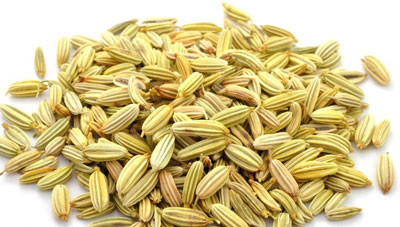 گیاهان دارویی