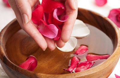 گیاهان دارویی