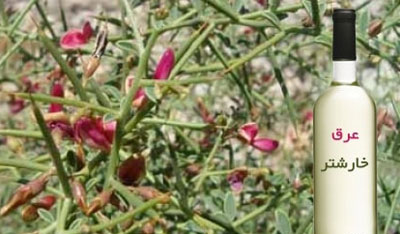 گیاهان دارویی