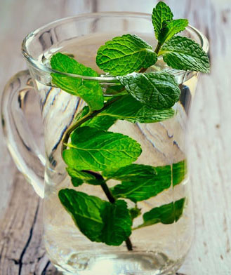 گیاهان دارویی
