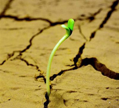 نکات زیبا برای زندگی زیبا, جملات زندگی زیبا