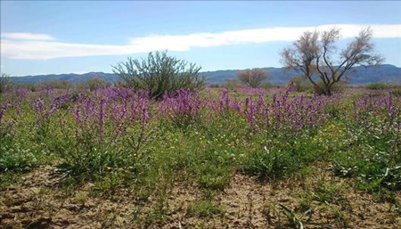 دره هندوستان کجاست،دره هندوستان در ایران