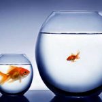 دست از مقایسه کردن زندگیتان بردارید
