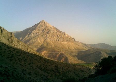 پوشش گیاهی منطقه حفاظت شده دنا