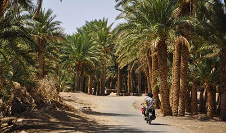 کویرگردی،کویرگردی در ایران