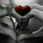 من مال توام ،مثل نگهبان نگهم دار(شعرهای عاشقانه)