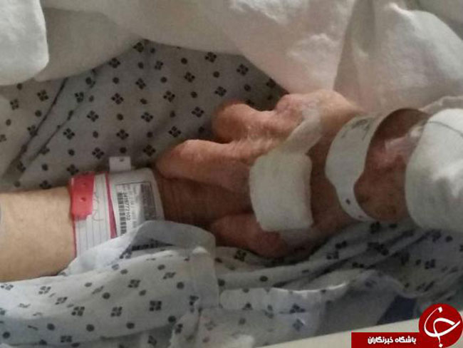 مرگ رمانتیک و جدانشدنیِ یک زوج مرگ رمانتیک و جدانشدنیِ یک زوج