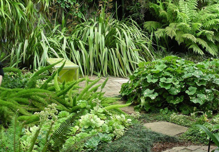 استفاده از رنگ سبز در فضای خانه,دکوراسیون و چیدمان خانه به رنگ سبز