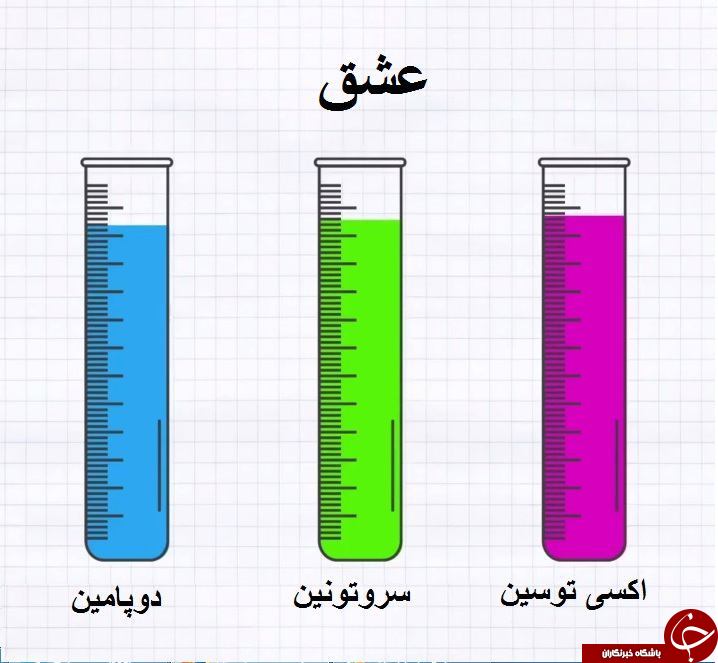 هورمون عشق