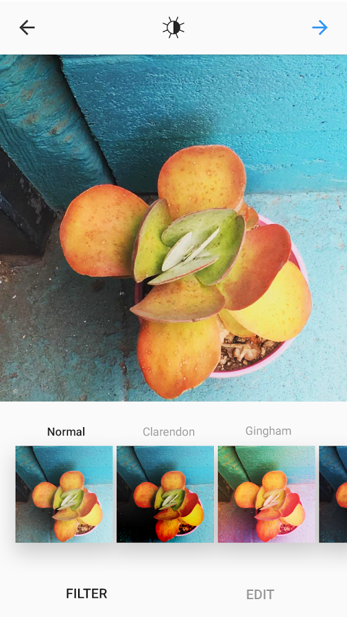 Instagram 9.5.5 Instagram 9.5.5