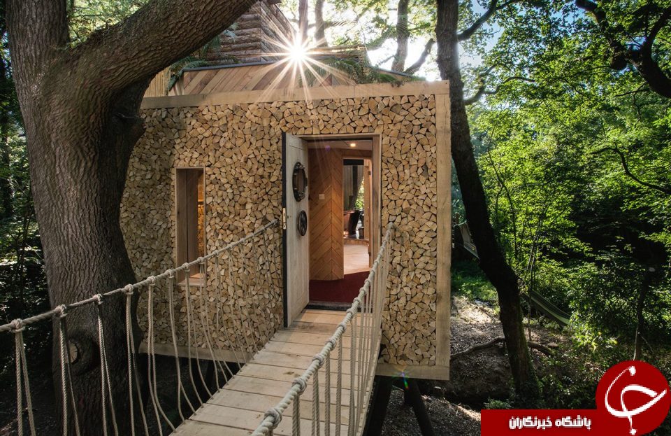 تماشایی ترین خانه درختی انگلیس را در این تصاویر ببینید