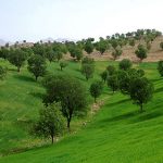 جاذبه های گردشگری یاسوج