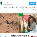 ترامپ در حال دوشیدن گاو + عکس