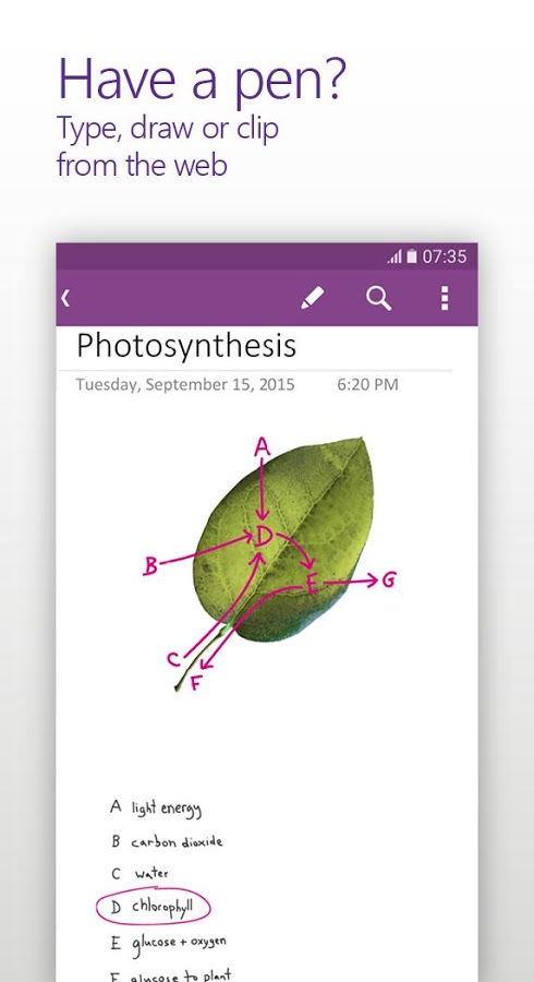 OneNote OneNote