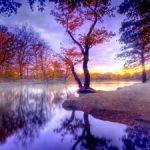 تماشای زیبایی زندگی در عکسها و جملات