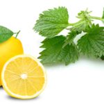 روش تهیه گزنه و لیموترش برای مقابله با کم خونی