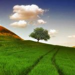 زندگی خود را این گونه زیبا کنید