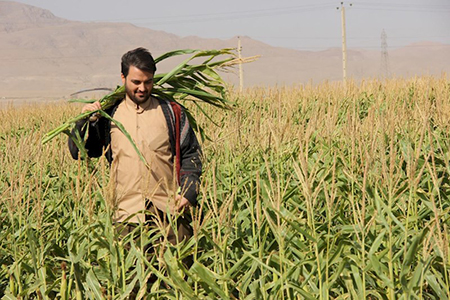 سریال نوروزی مرز خوشبختی,داستان سریال  مرز خوشبختی