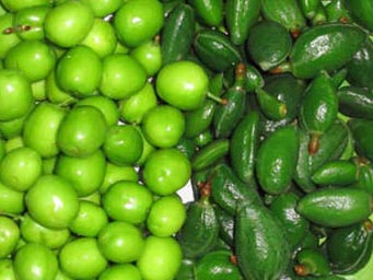 سلول‌های سرطانی را با مصرف گوجه سبز تار و مار کنید/ مصرف چغاله بادام‌های تلخ ممنوع