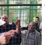 حمله ببر درنده به مجری سیما +فیلم