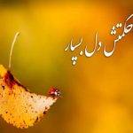 جملات و متن های جالب و زیبا در مورد خداوند (۹)