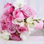 جملات زیبا ،جالب و خواندنی