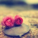 جملاتی در مورد زیبایی زندگی(۵)