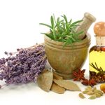 گیاهان دارویی برای کاهش وزن