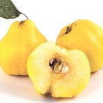  آشنایی با «به»