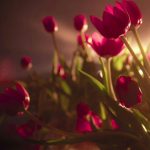 جملاتی در مورد زیبایی های زندگی
