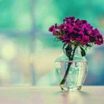 جملات زیبا و خواندنی (۲۷)