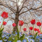 جملات جالب در مورد زیبایی زندگی(۷۸)