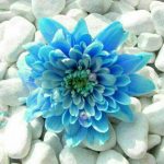 جملات زیبا و خواندنی (۲۸)