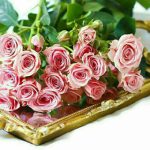 زندگی زیباست (۸۰)