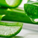 خاصیت های مختلف آلوئه ورا