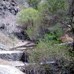 گلابدره یکی از ییلاقهای خوش آب و هوای تهران
