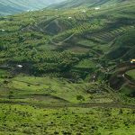 سفر به دره های سرسبز و دیدنی ایران