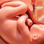 چند سالگی بهترین سن بارداری است؟