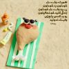 جمـلاتی الـهام بخـش برای زنـدگی (۸۳)