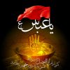 تصاویر روز تاسوعا