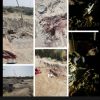 قتل ۵ کشاورز در شهرستانِ مرزی هیرمند